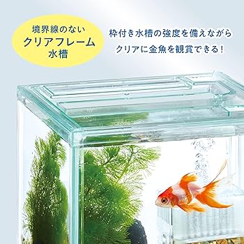 『HAKU 黒金クリア』 Magical Racing : Under Cowl Tray [001-ZX252-1701]